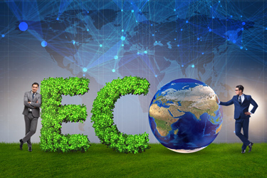 tt_eco
