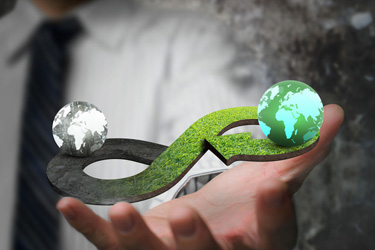 tt_papragraf-enviro